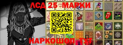 прущие грибы Камышлов