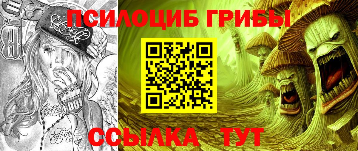 Галлюциногенные грибы Magic Shrooms  Псилоцибиновые грибы прущие грибы  Вход с VPN  Махачкала 